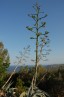 Thumbs/tn_GREECE239.jpg