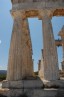 Thumbs/tn_GREECE260.jpg