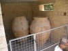 Thumbs/tn_GREECE444.jpg